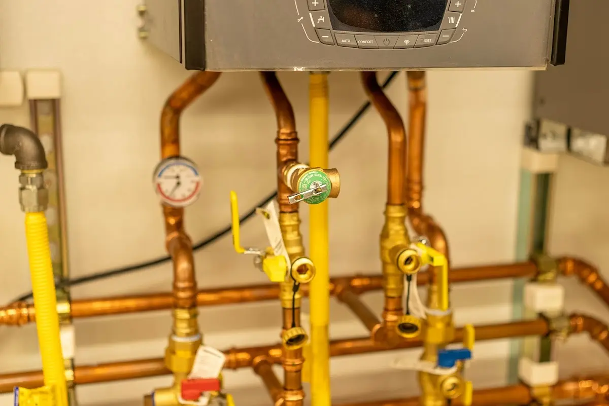 Licensed technician providing Sewer Cleanout for a homeowner in Holt